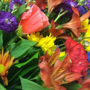 Meet your Posher, Lara